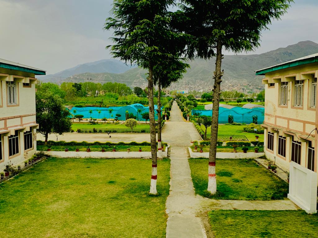 Agriculture Research Institute Mingora Swat photo 2