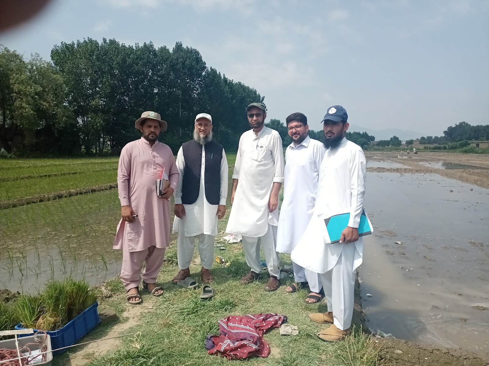 Agriculture Research Institute Mingora Swat photo 4
