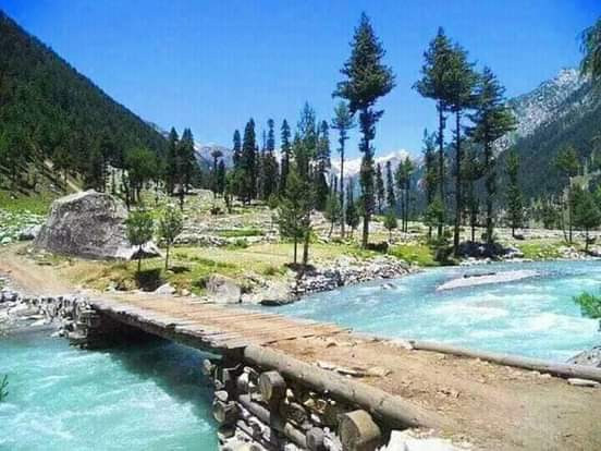 Blue Bird Resort, Utror photo 3