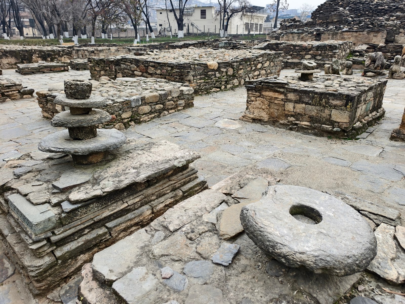 Butkara I photo 5