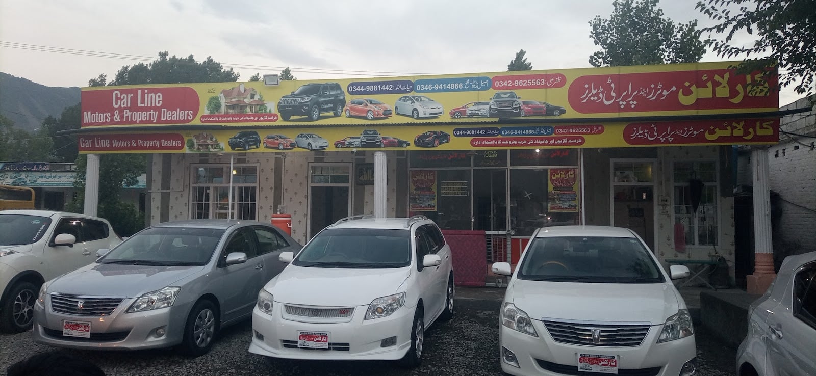 Car Line Showroom