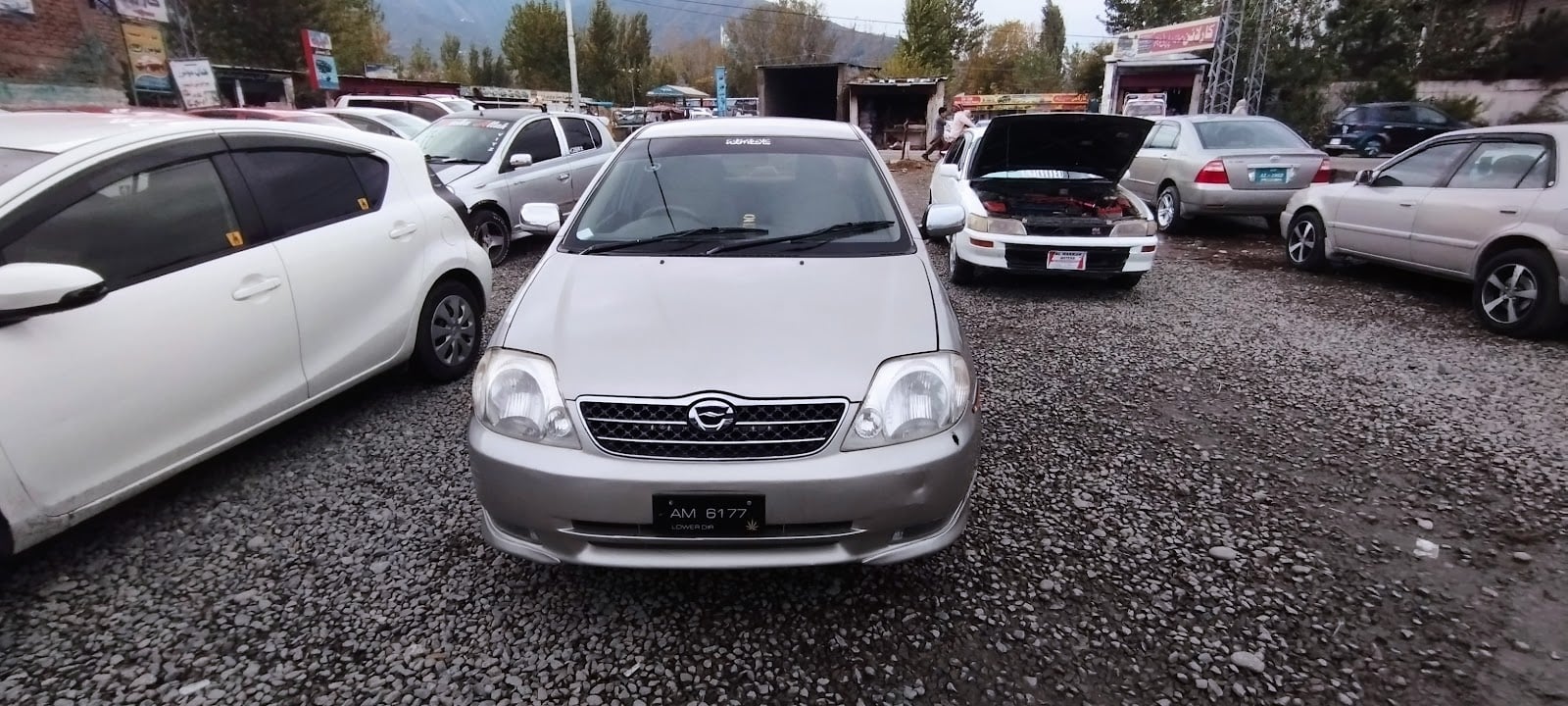Car Line Showroom photo 2