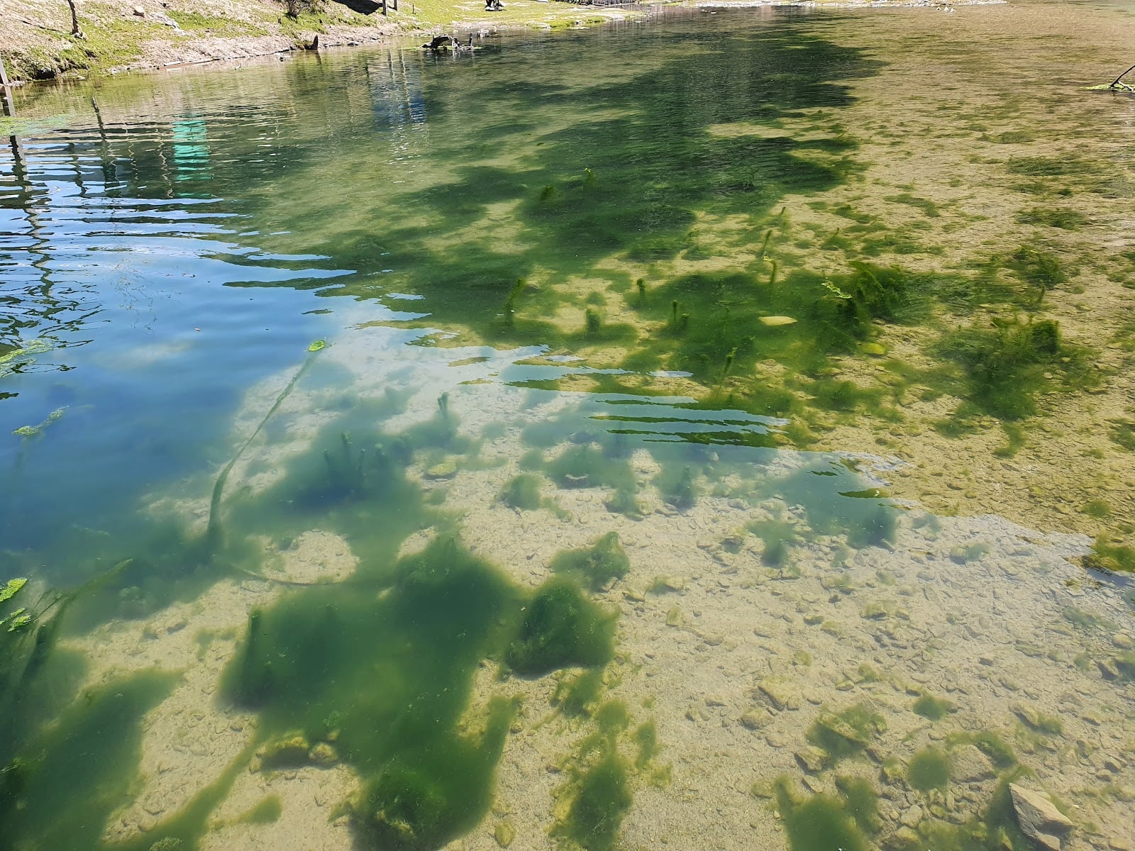 Dhamaka Lake photo 3