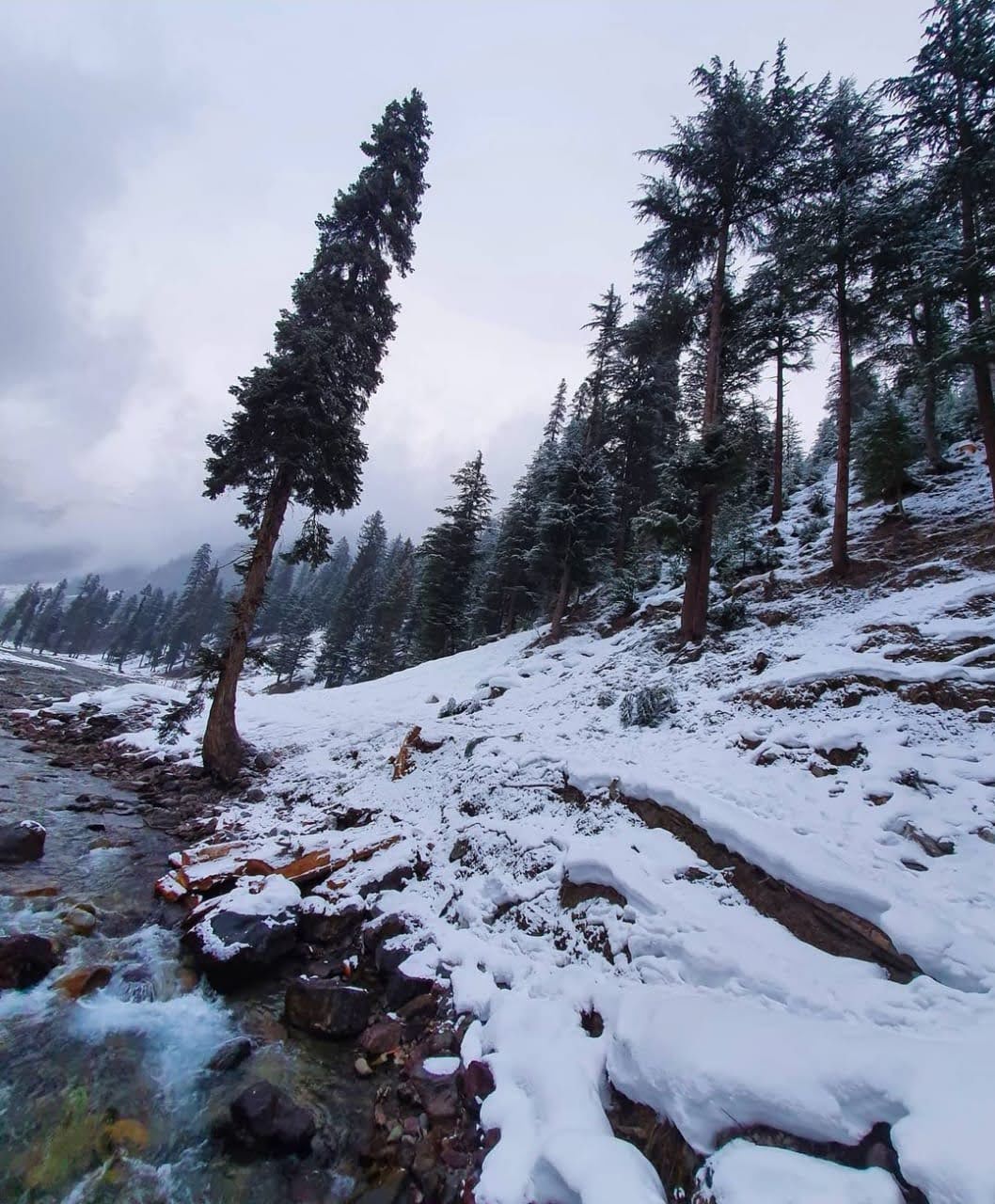 Dhamaka Lake photo 5