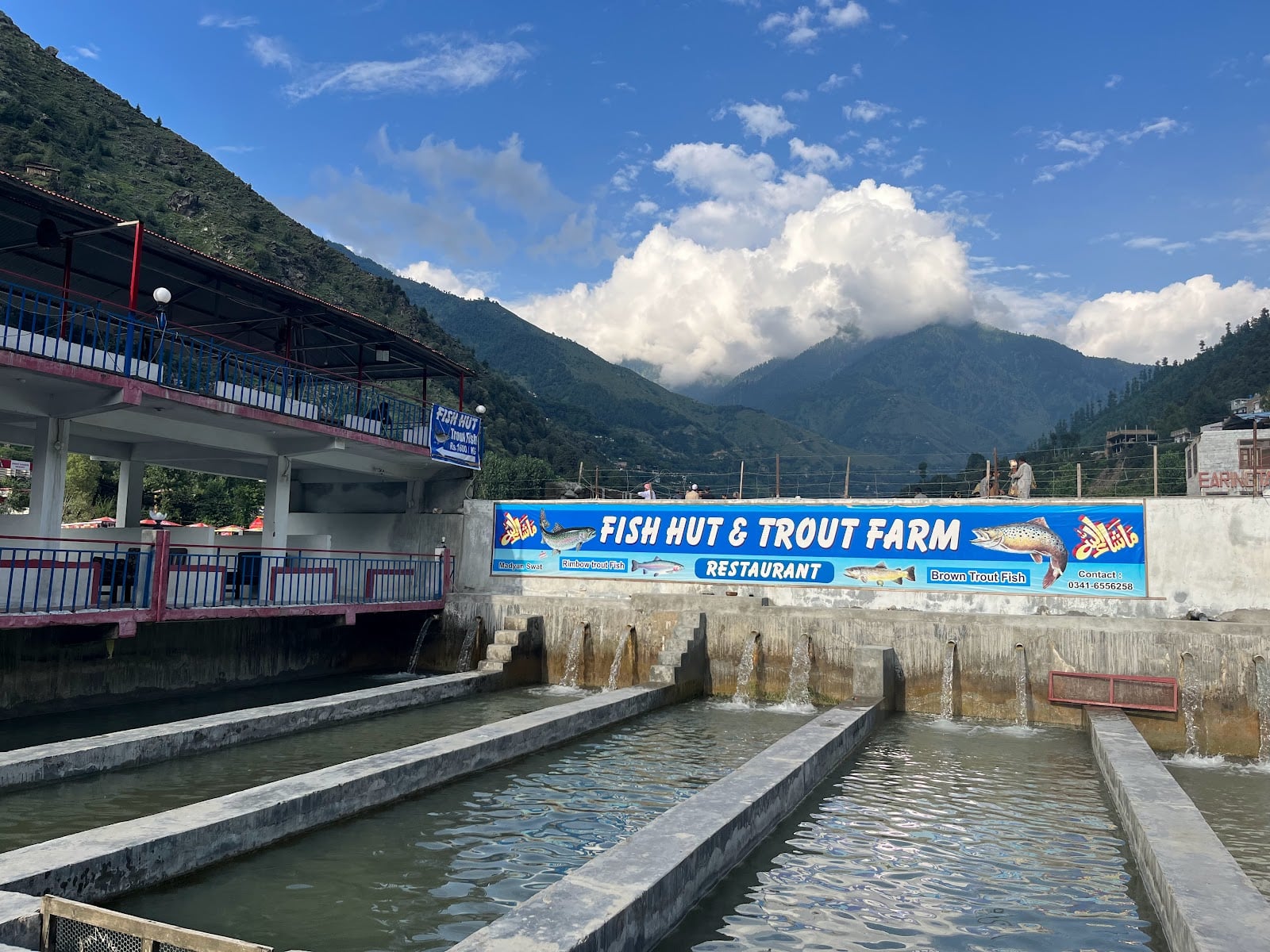 Fish Hut and Trout Fish Restaurant ( Trout Fish Farming in swat, pakistan) photo 3