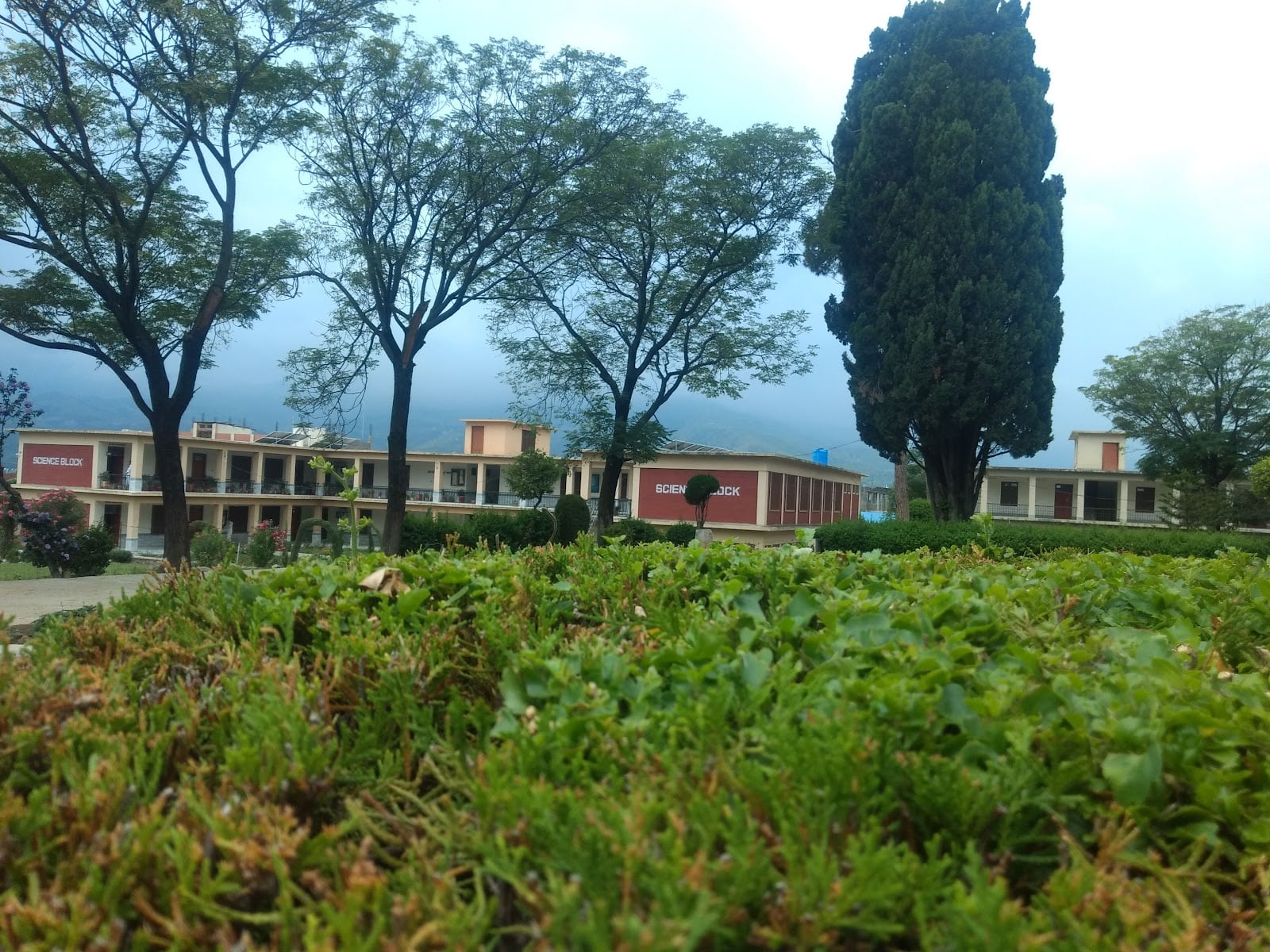 Government Afzal Khan Lala Post Graduate College Matta Swat