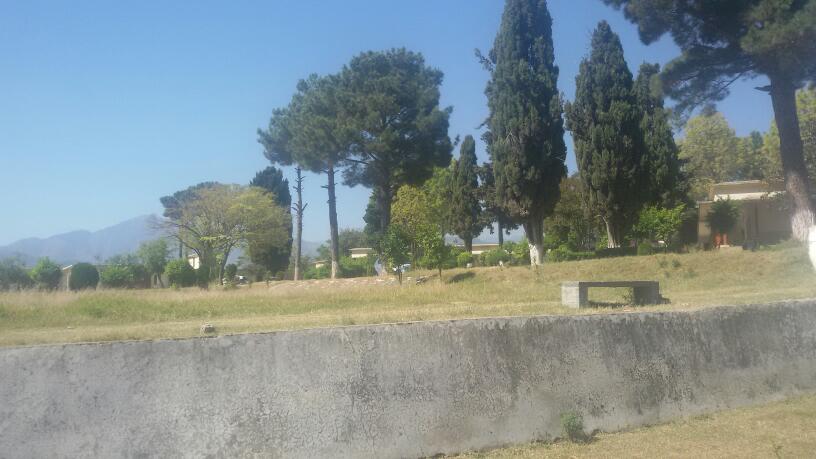 Government Afzal Khan Lala Post Graduate College Matta Swat photo 4