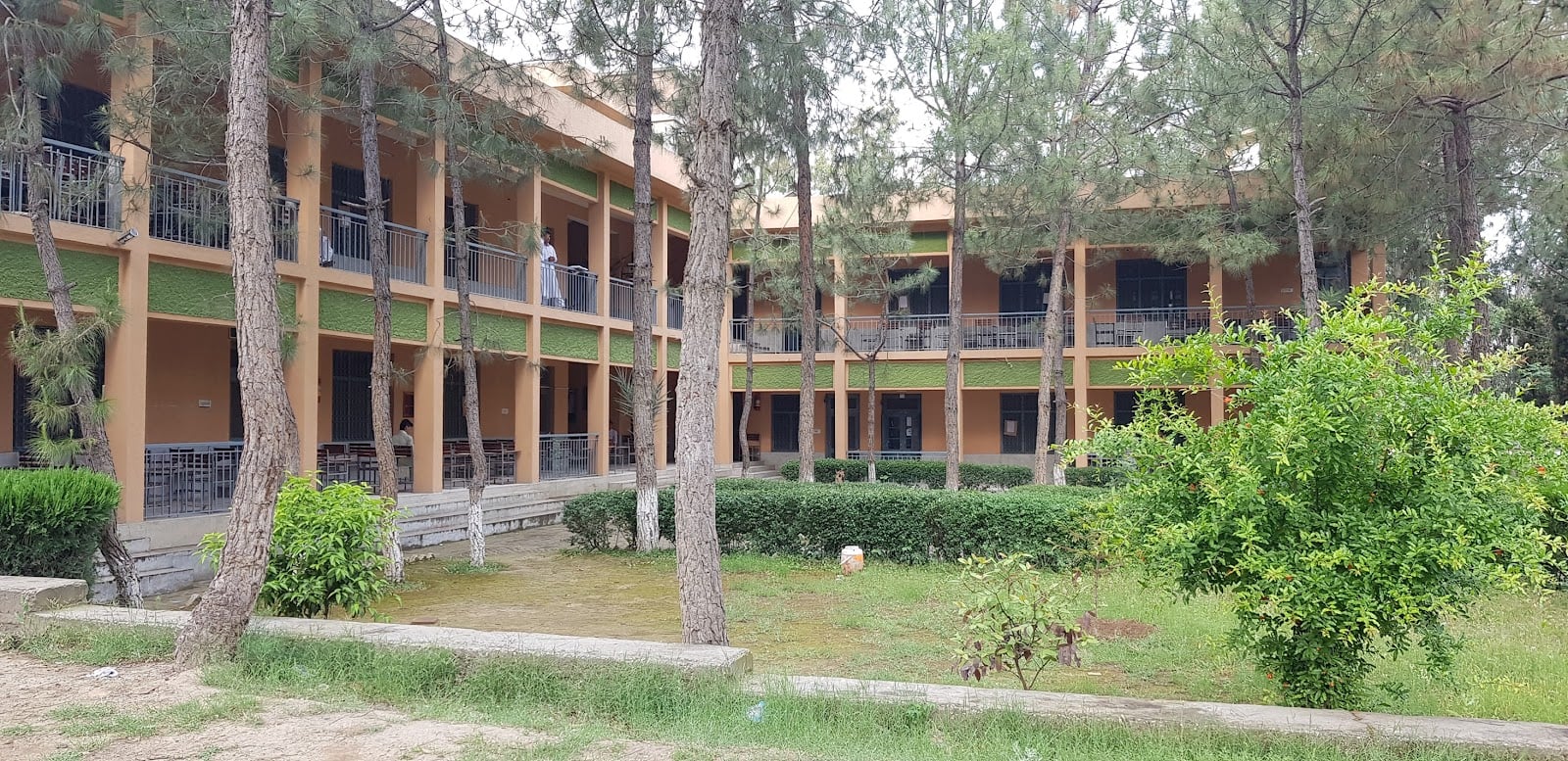Government Degree College Totakan