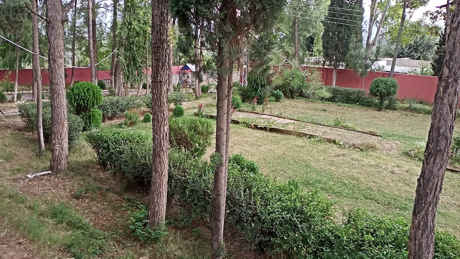 Government Polytechnic Institute (GPI) Boys Chakdara photo 5