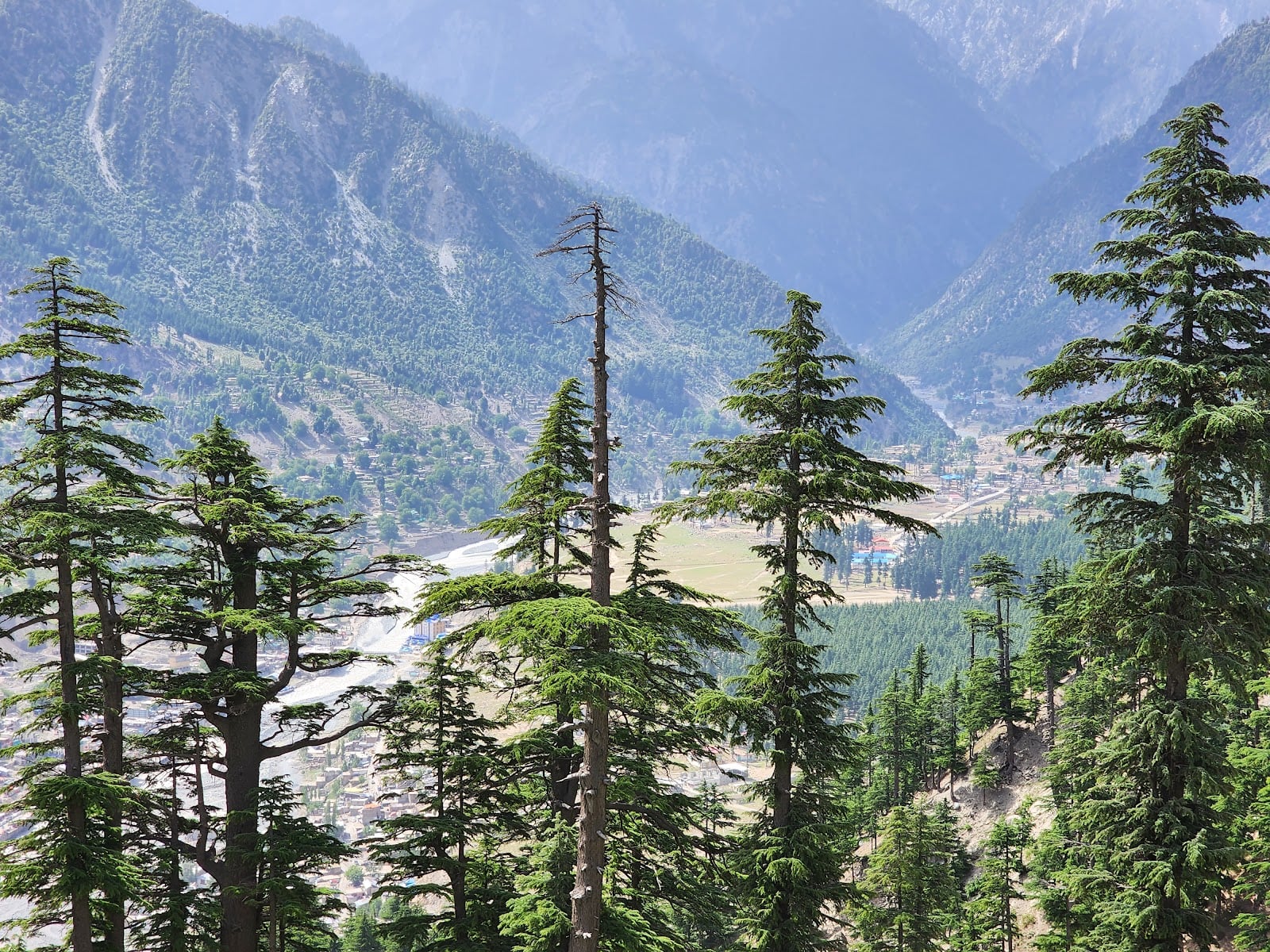 Green Top (Kalam view point)