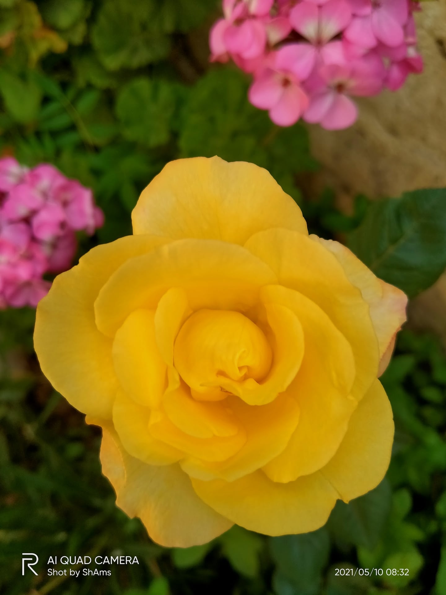 HASHAM CLOTH HOUSE