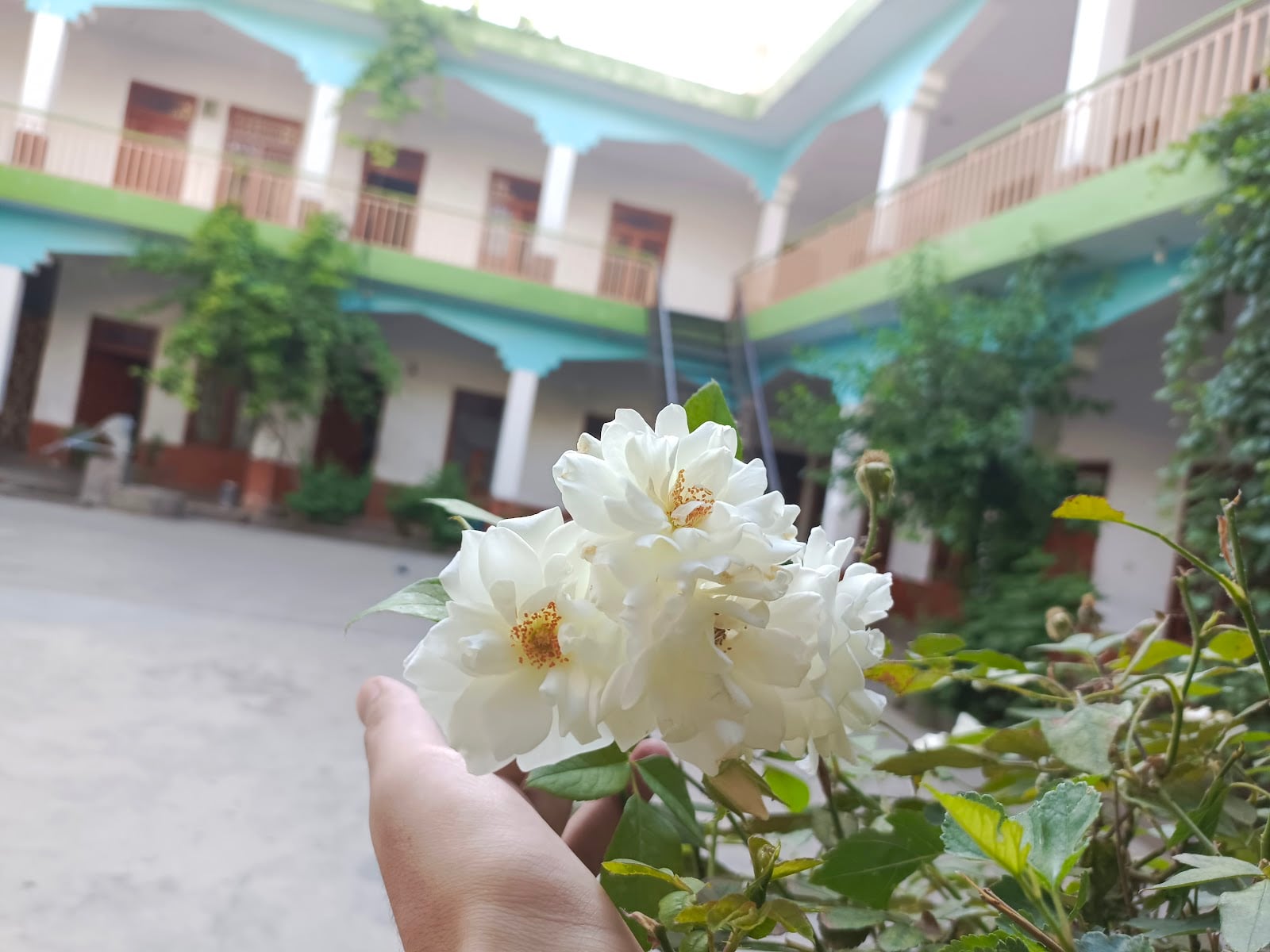 Jamia Sirat ul Jannat swat photo 3