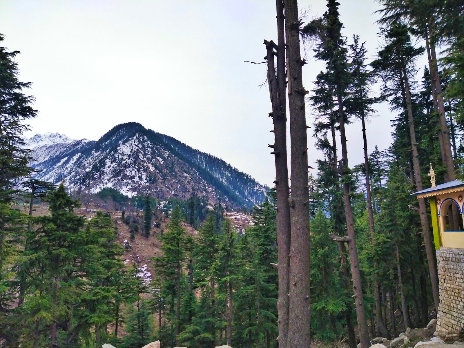 Kalam Forest Plain photo 2