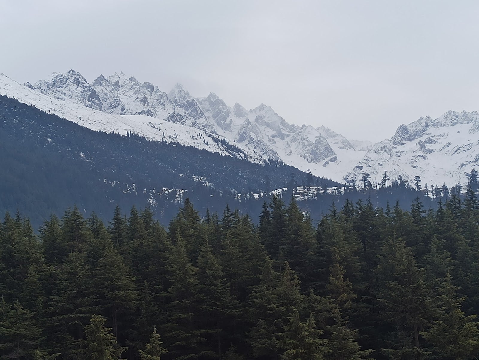 Kalam Forest Plain photo 3
