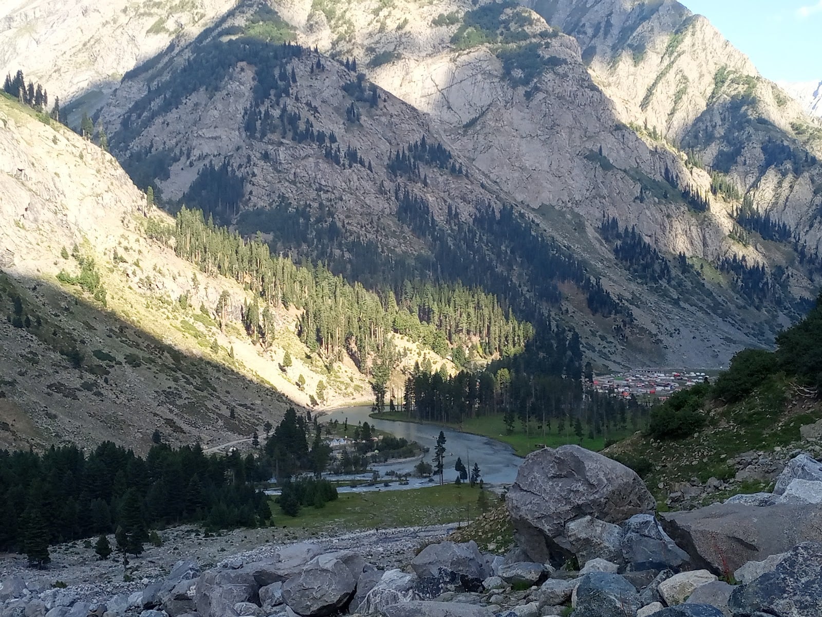 Kalam Forest Plain photo 5