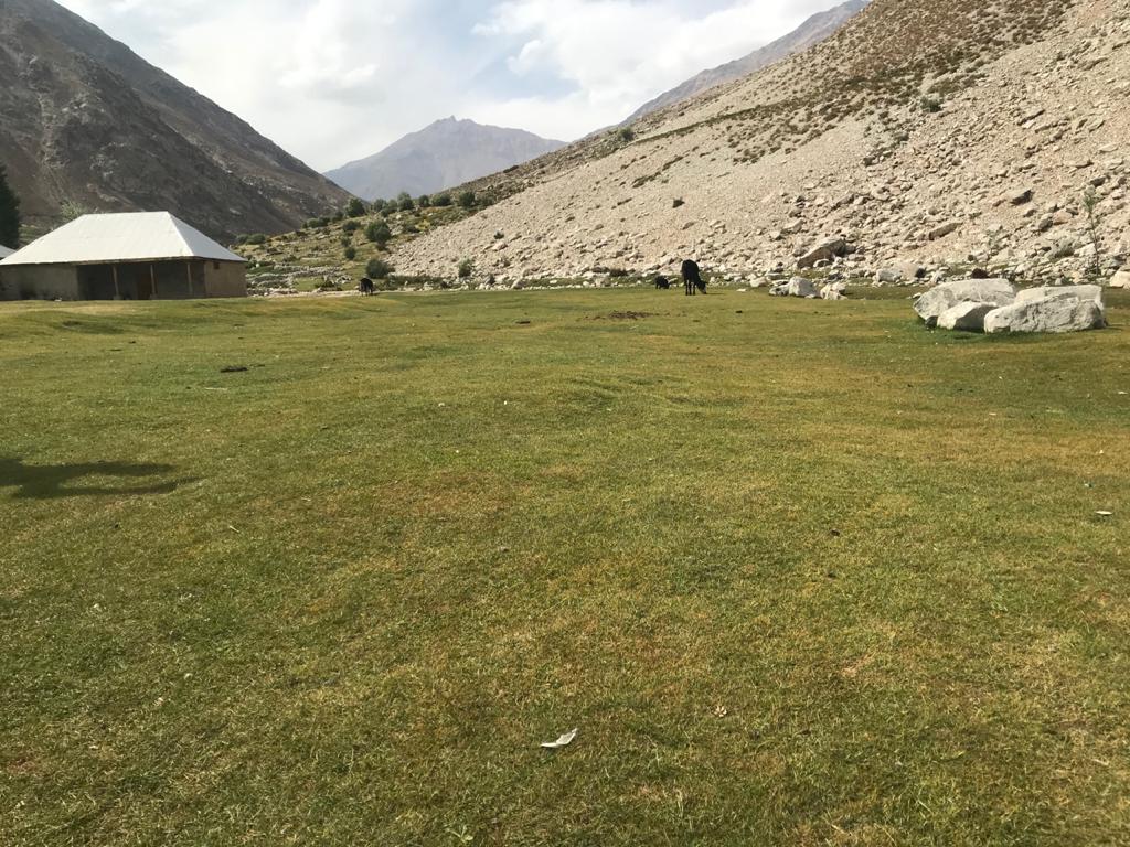 Kalam Tour & Travels photo 4
