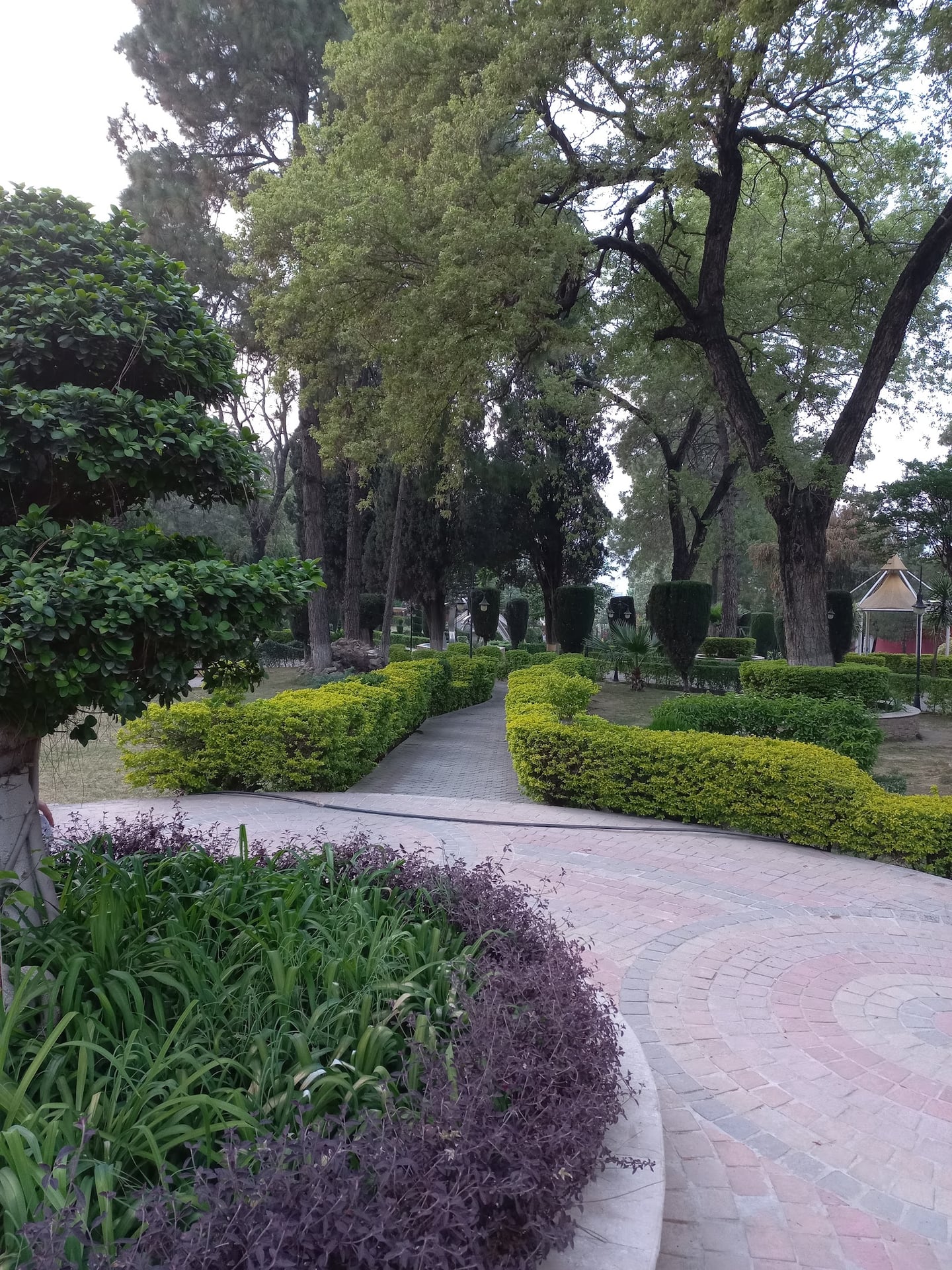 Ladies Park
