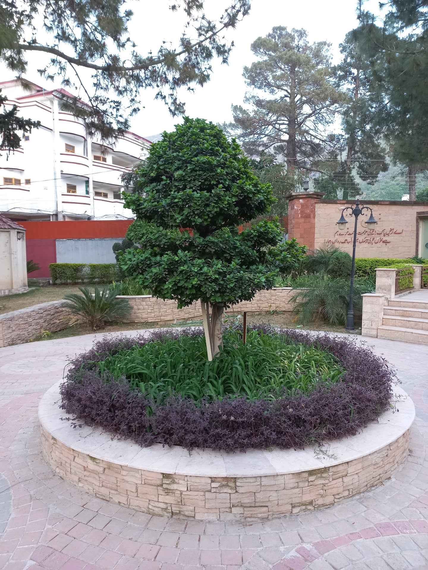 Ladies Park photo 2