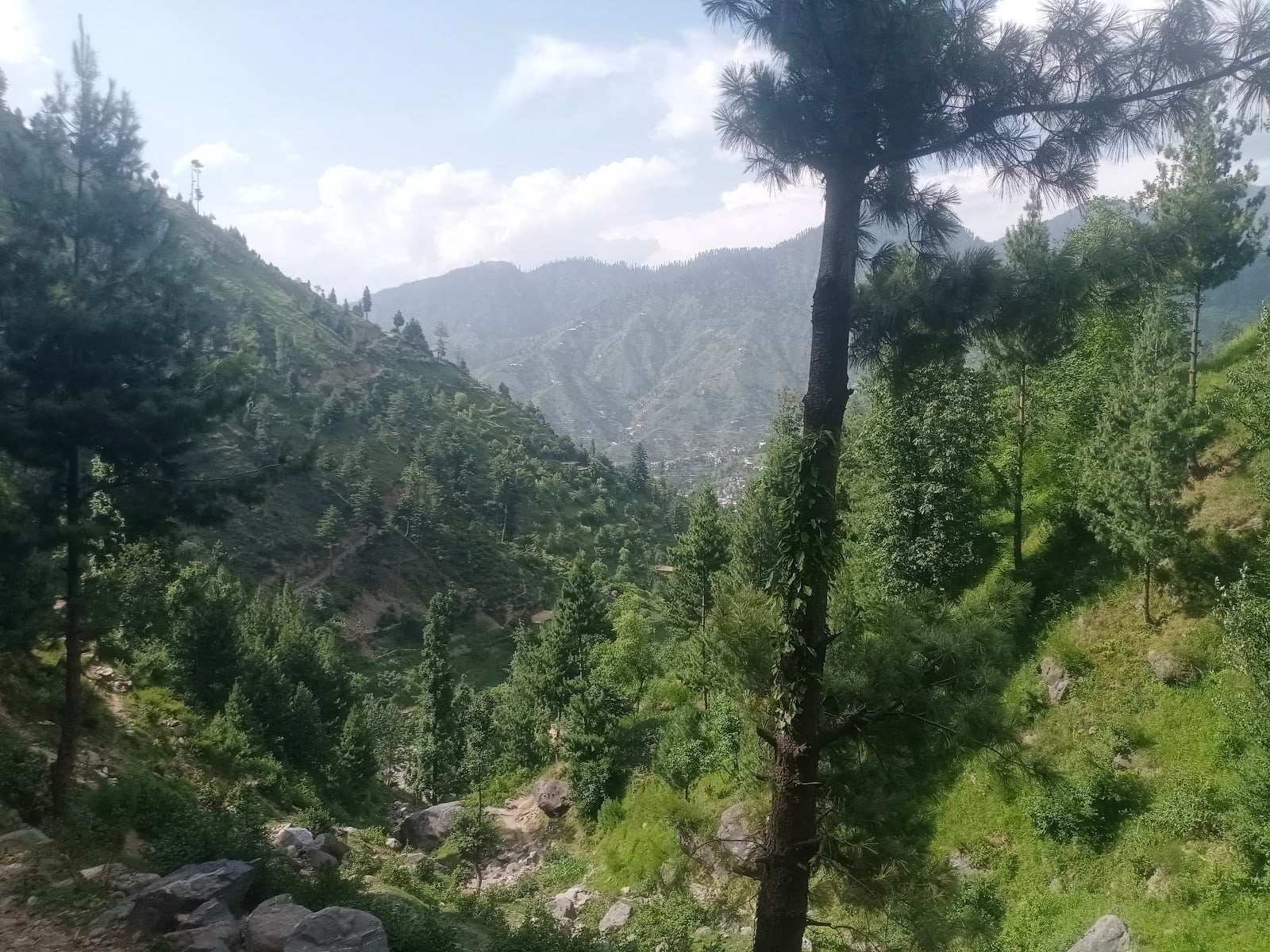Lalazar Group of Hotels photo 3