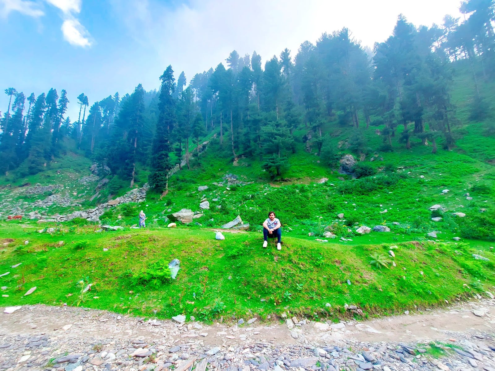 Malam Jabba National Forest
