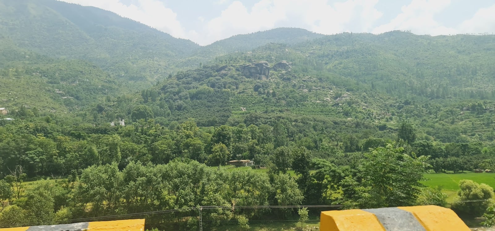 Malam Jabba National Forest photo 4