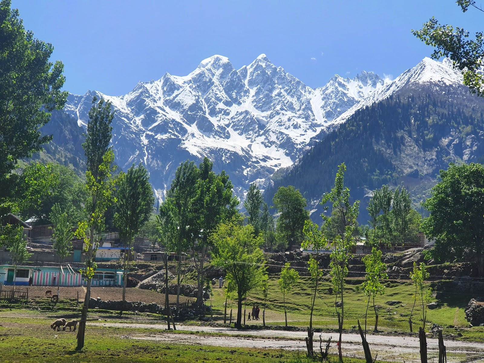 Matiltan Valley photo 4