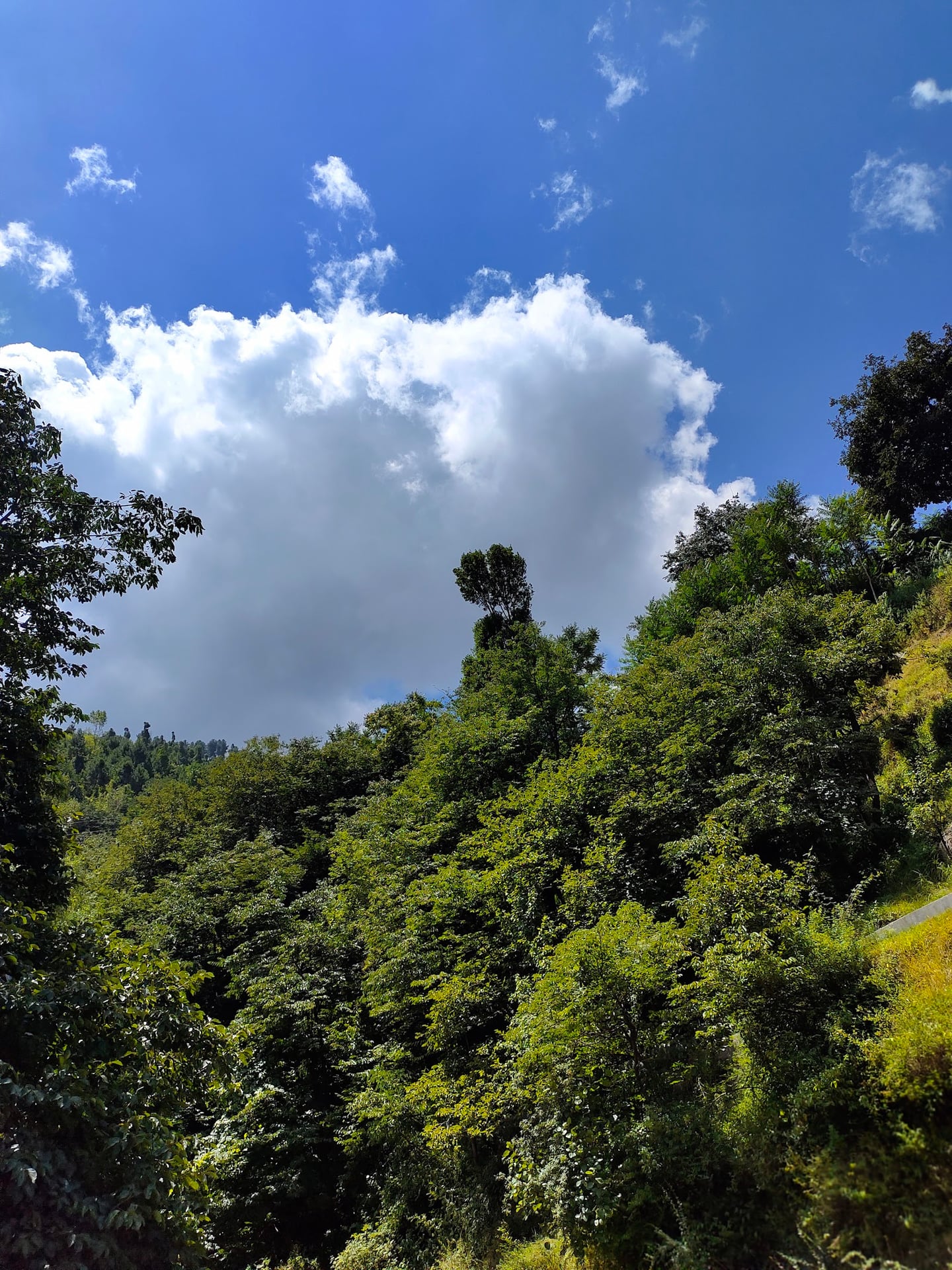 Miandam photo 5