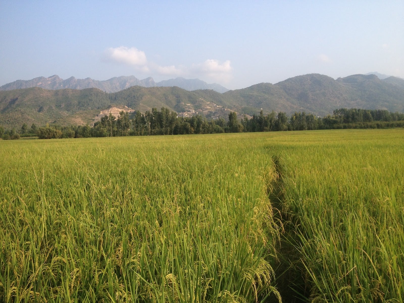 Naway Kalay Ground photo 4