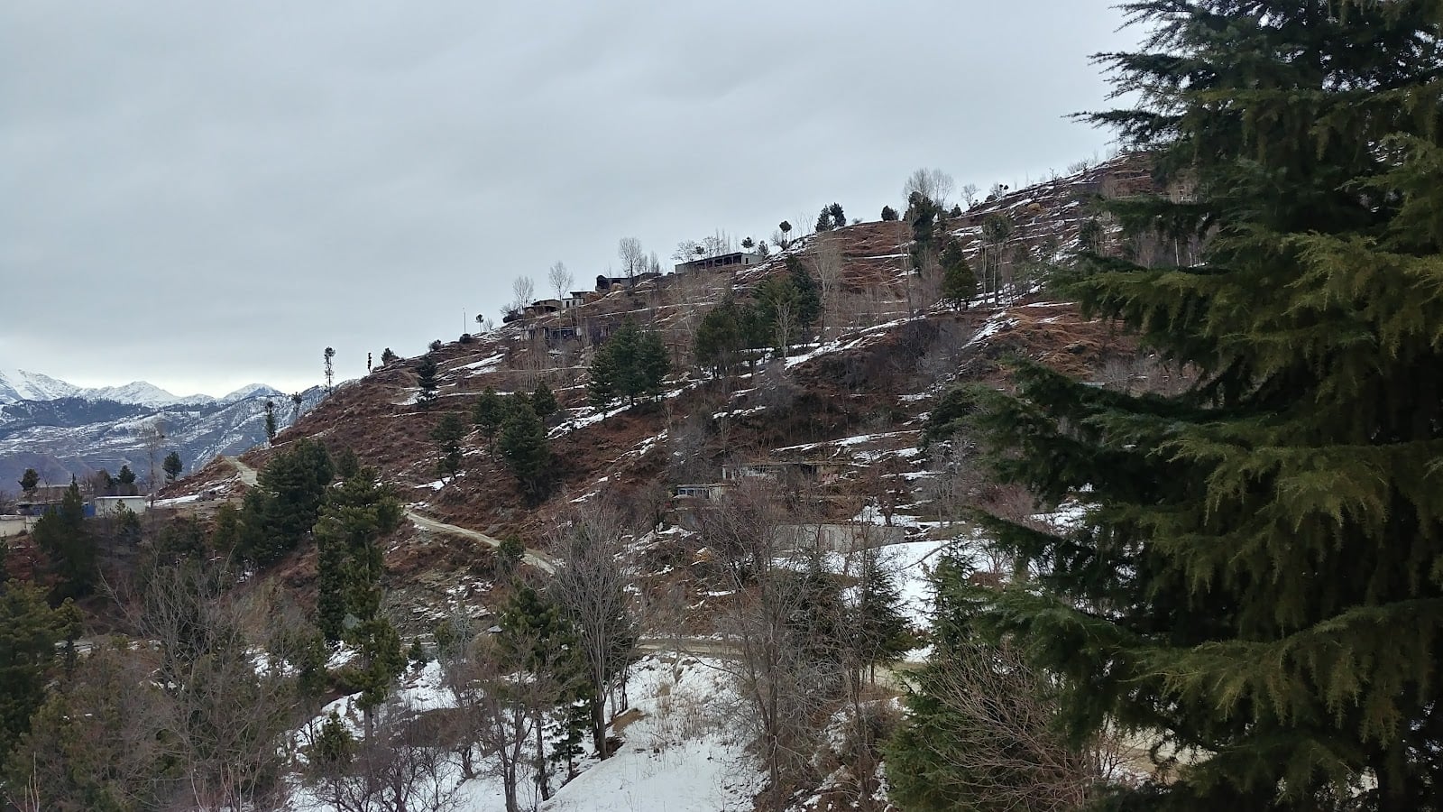 Nazara Resturant Malam Jabba photo 5