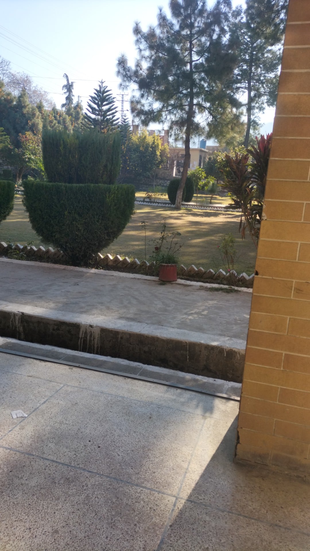 Saidu College of Dentistry
