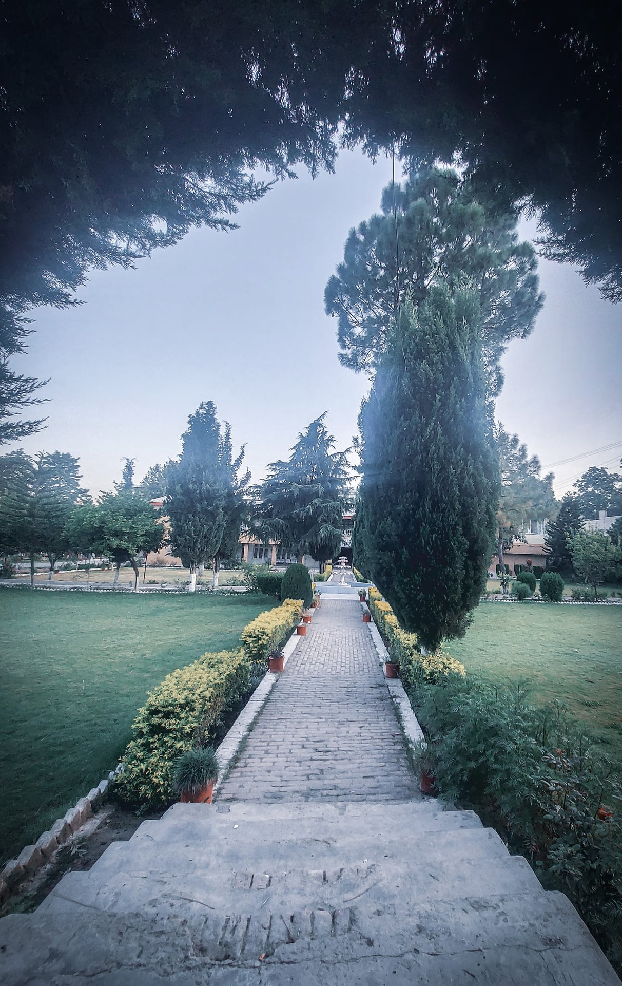 Saidu College of Dentistry photo 2