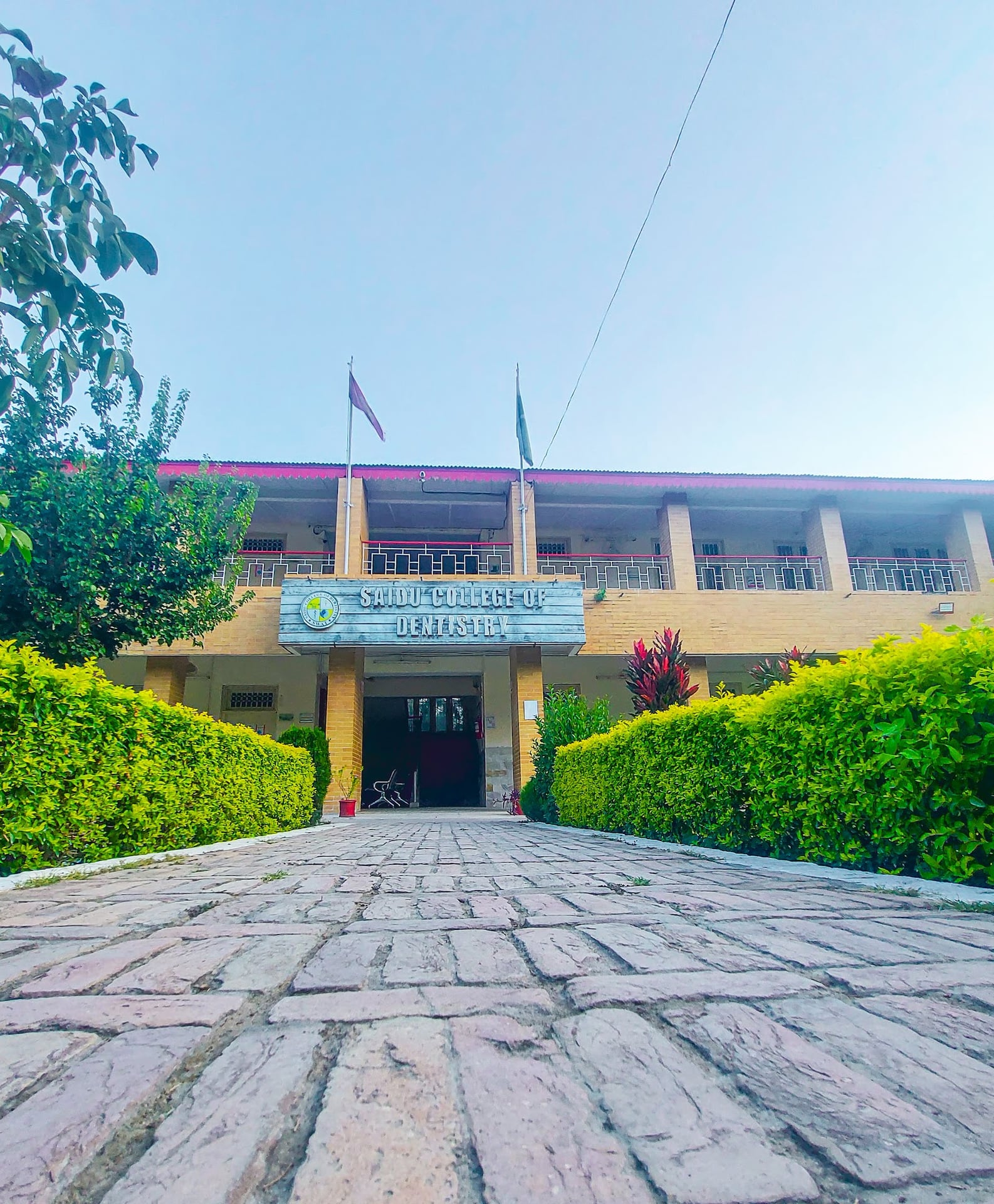 Saidu College of Dentistry photo 4