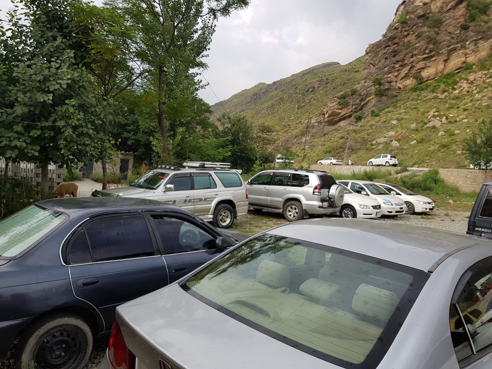 SALANDA MOTORS AND PROPERTY DEALER photo 5