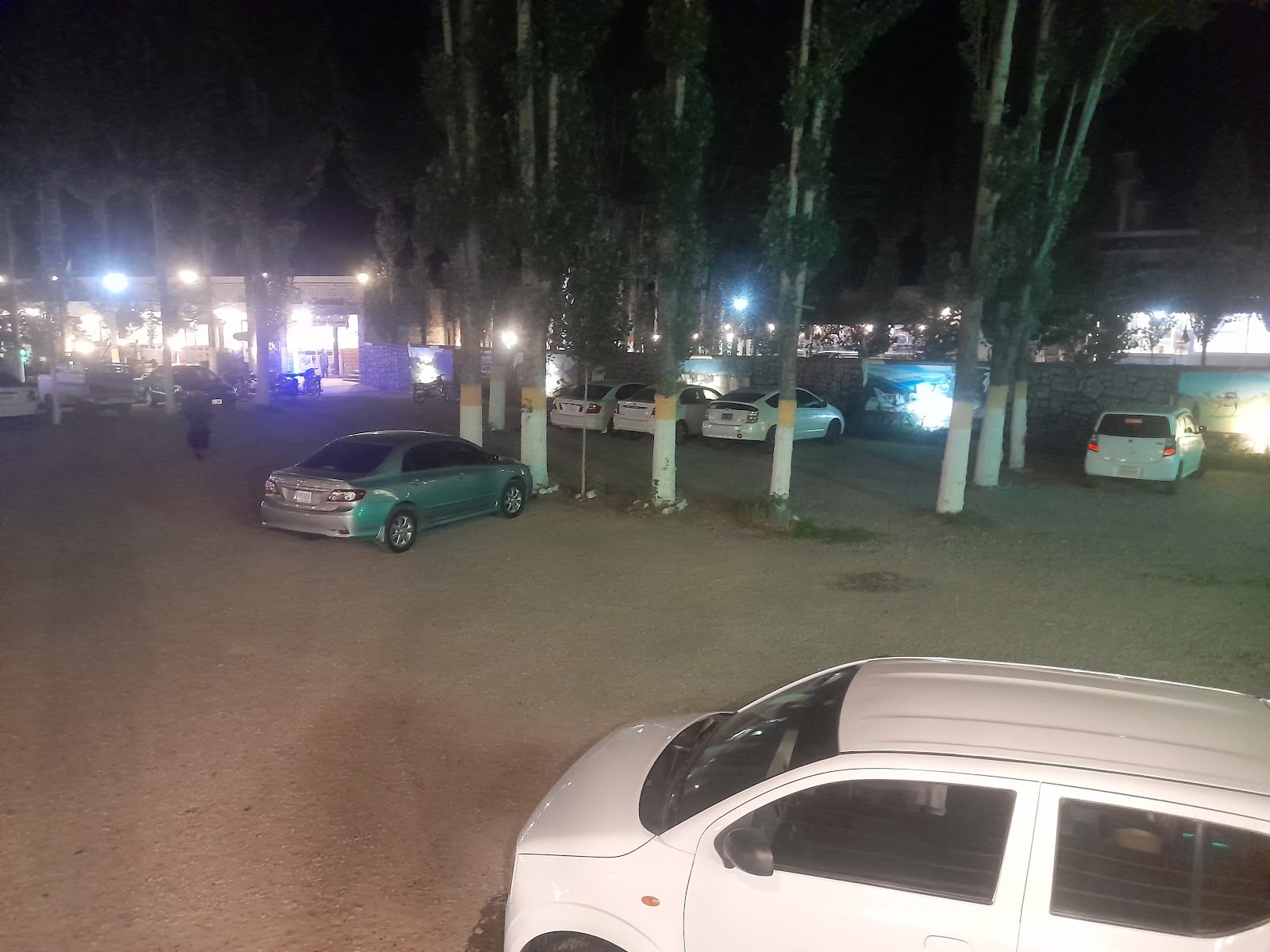 Sardaryab Family Park photo 3