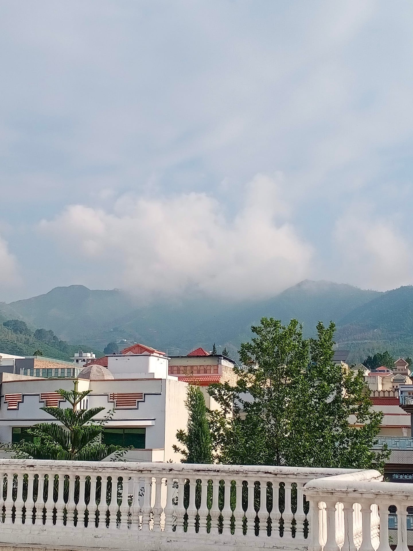 Sector A Park