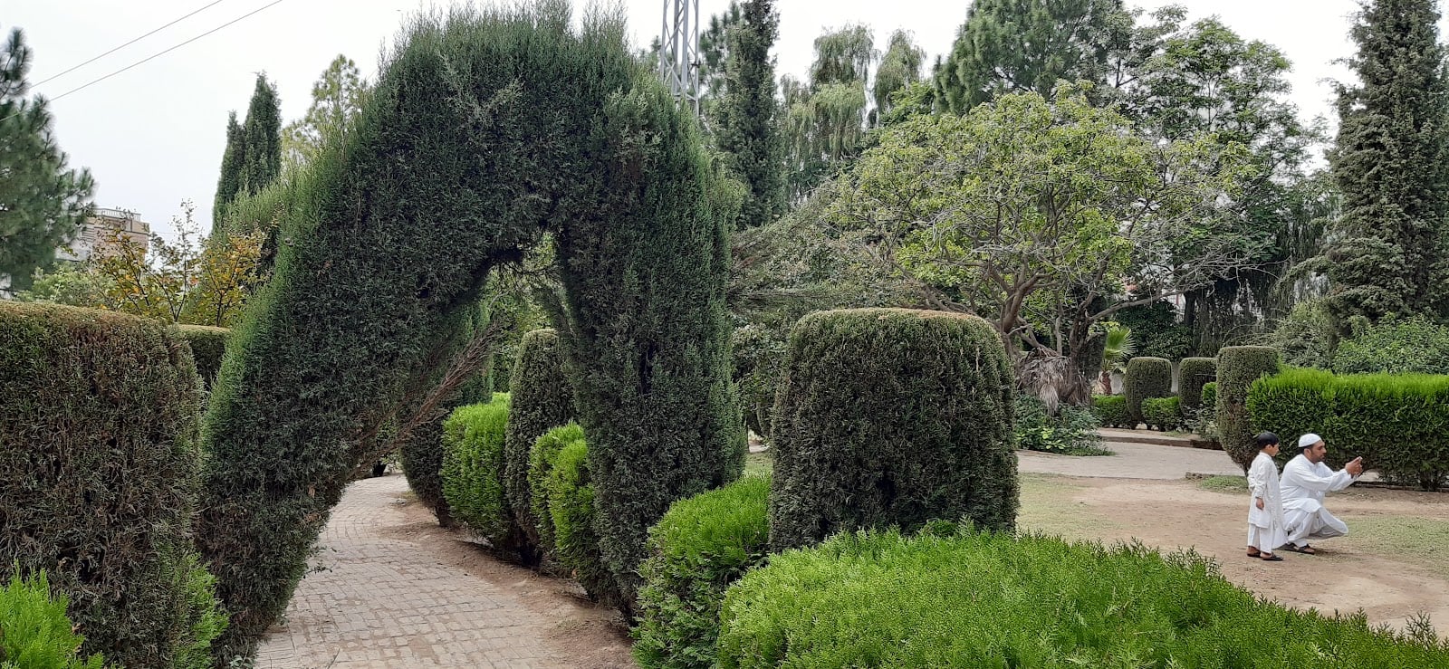 Sector A Park photo 5