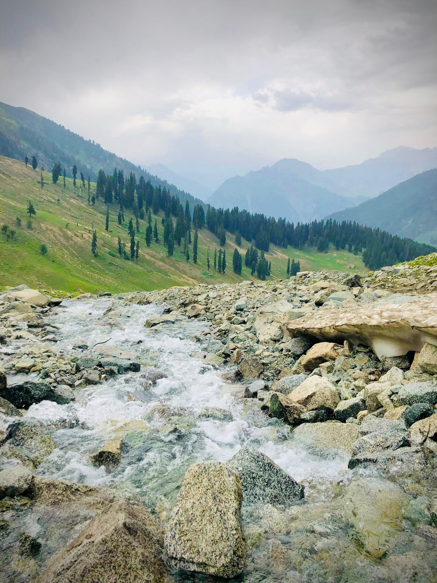 Desan Meadow photo 2