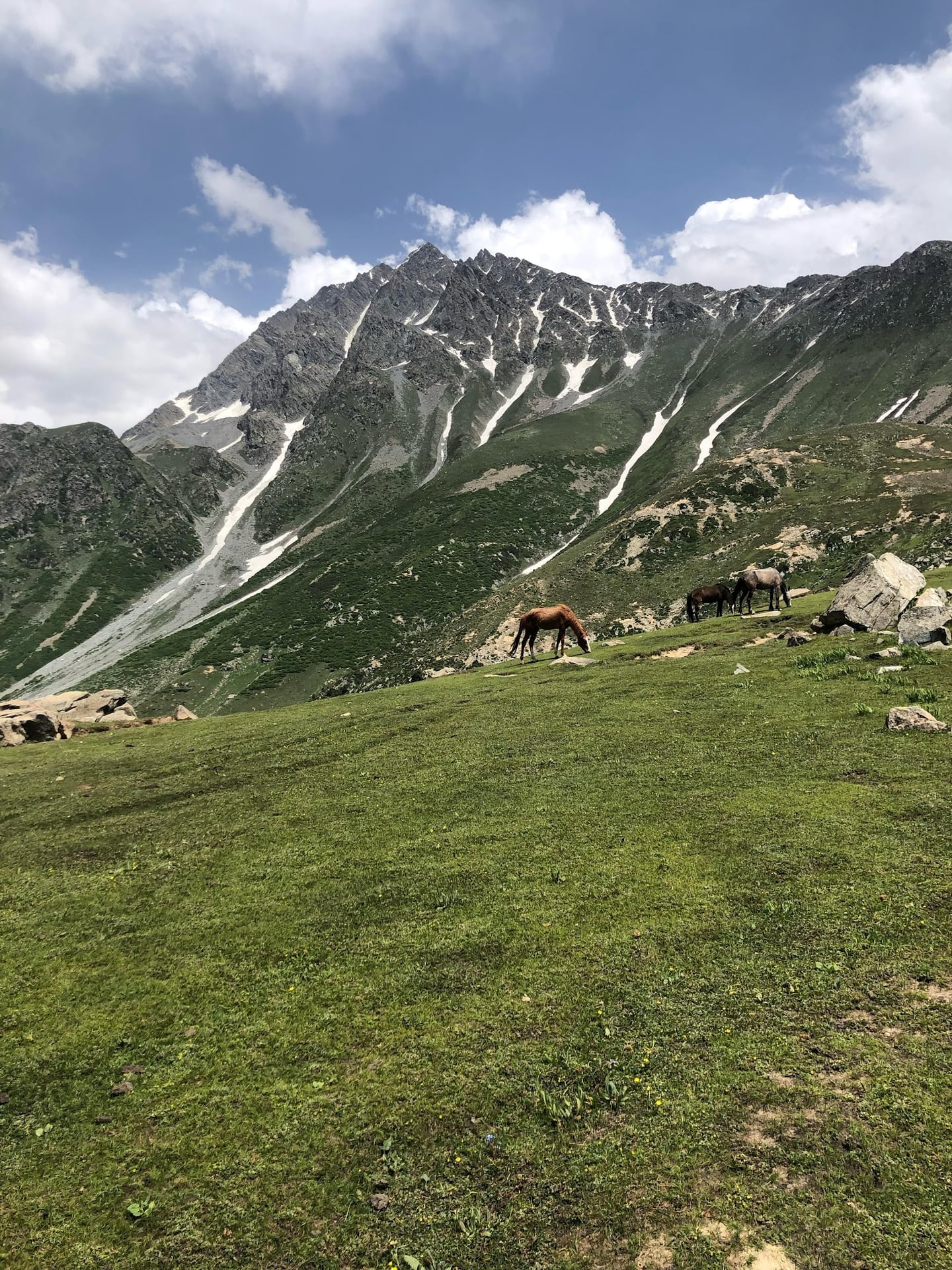 Desan Meadow photo 3