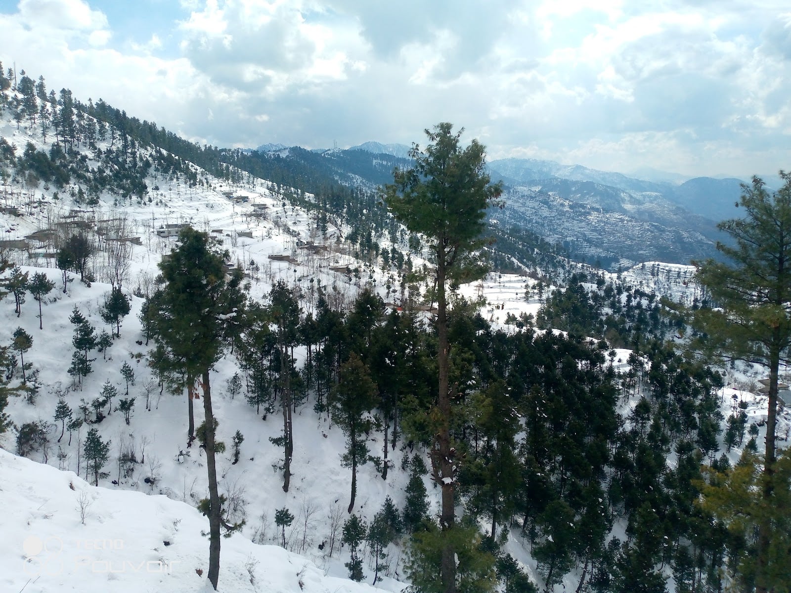 Shangla Top