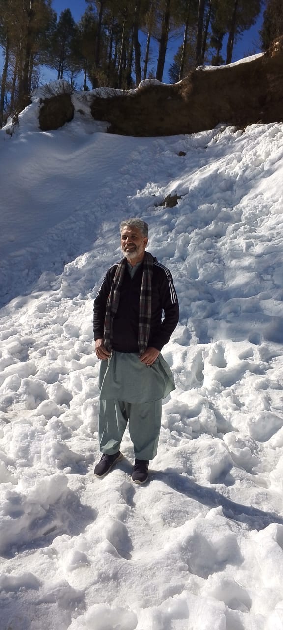 Shangla Top photo 4