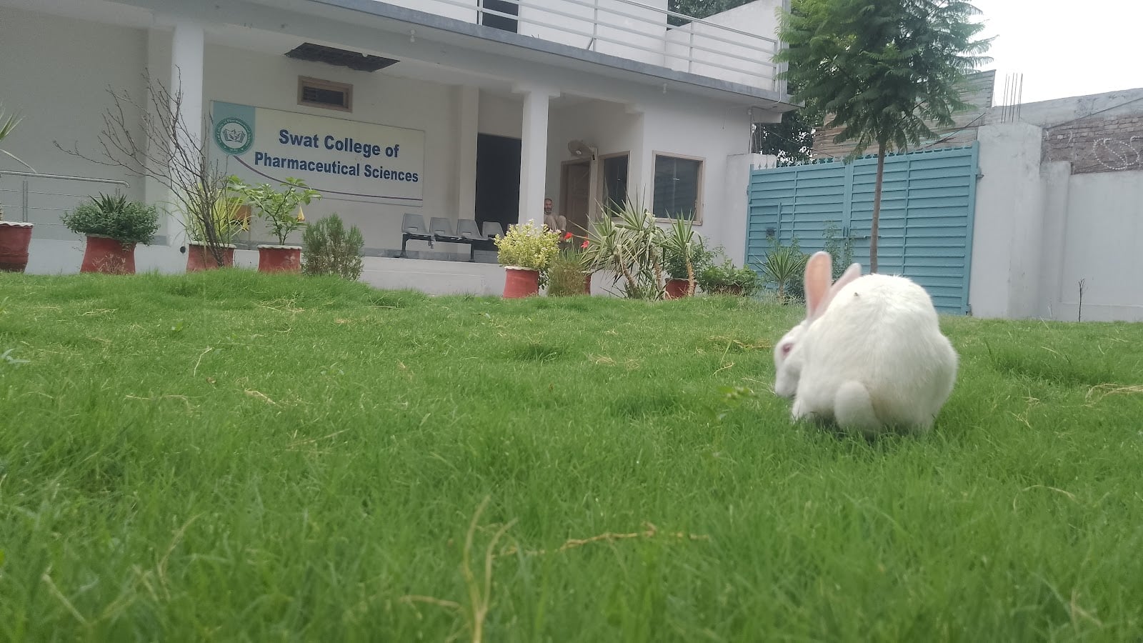 Swat College of Pharmaceutical sciences photo 5