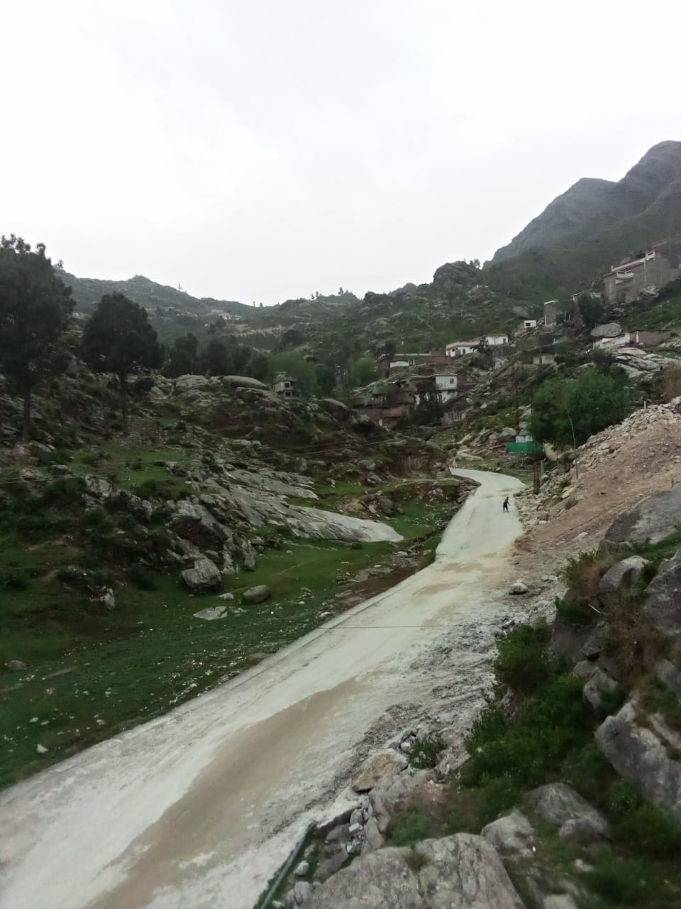 SWAT SANGOTA photo 5