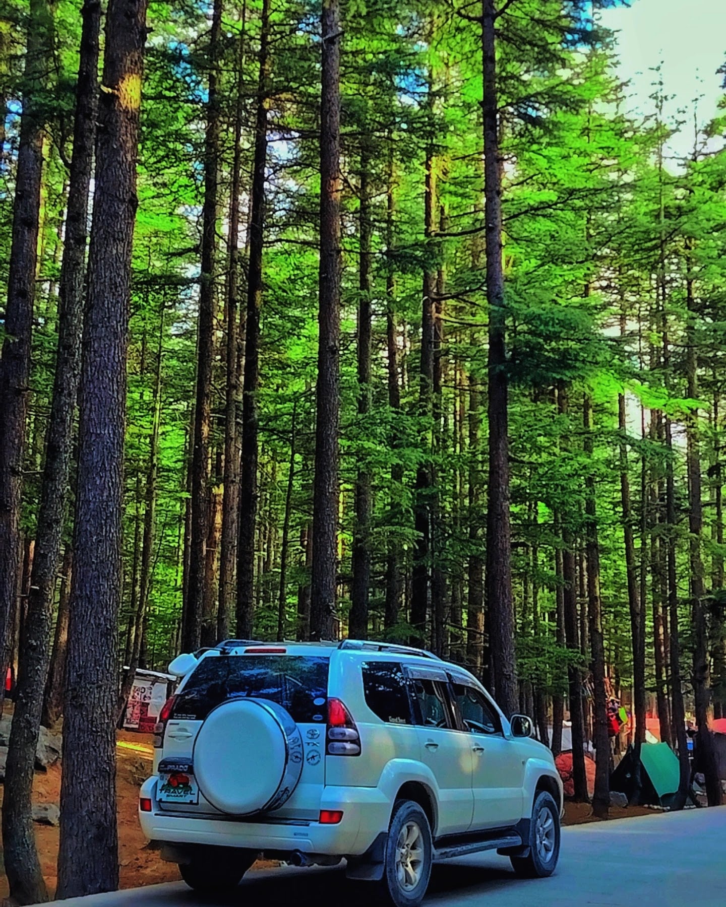 Syed The Transporter photo 4