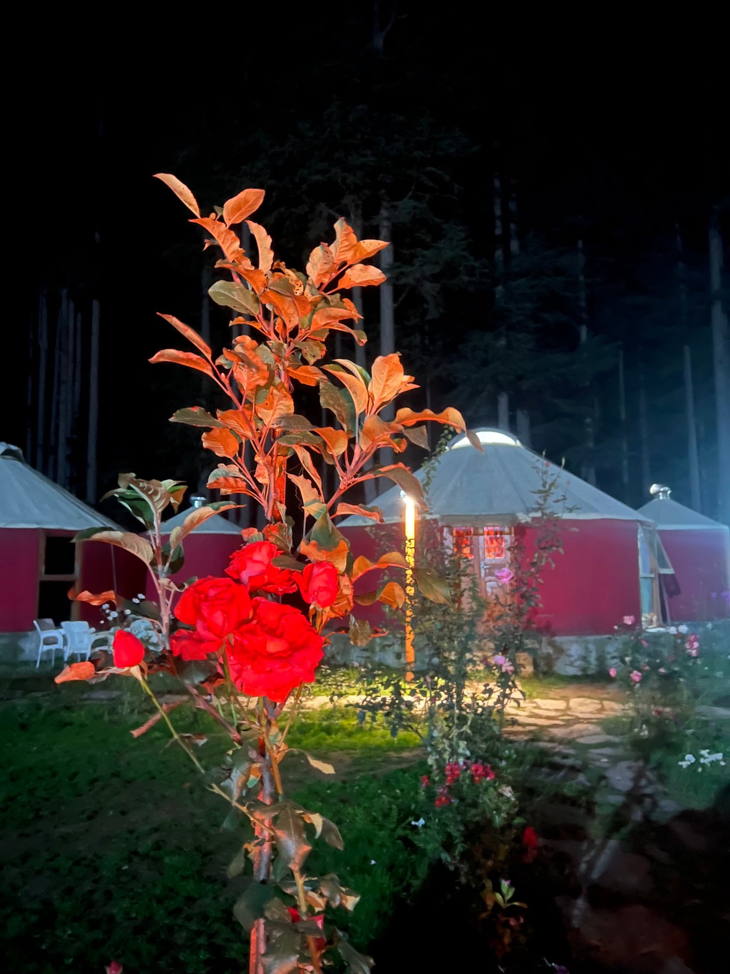 The Glamping Spot Kalam photo 5