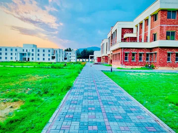 University of Malakand photo 3