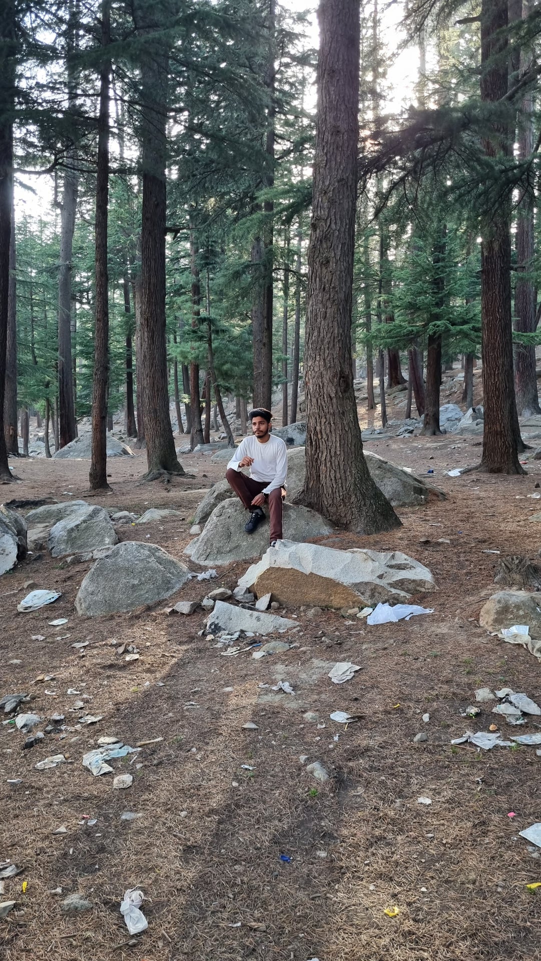 Usho Forest (Plain Forest) photo 3