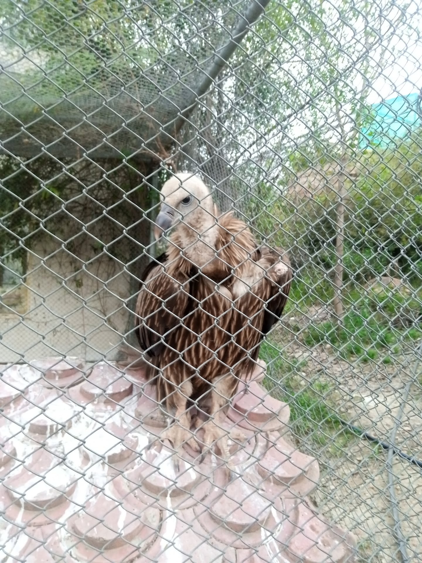 Wildlife Safari Park photo 2