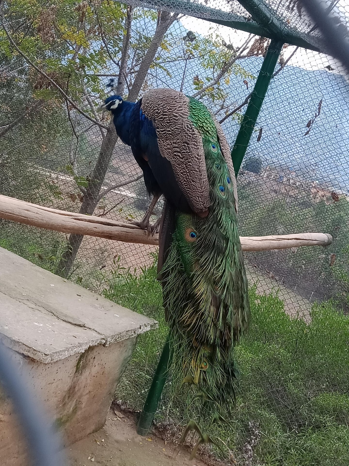 Wildlife Safari Park photo 3