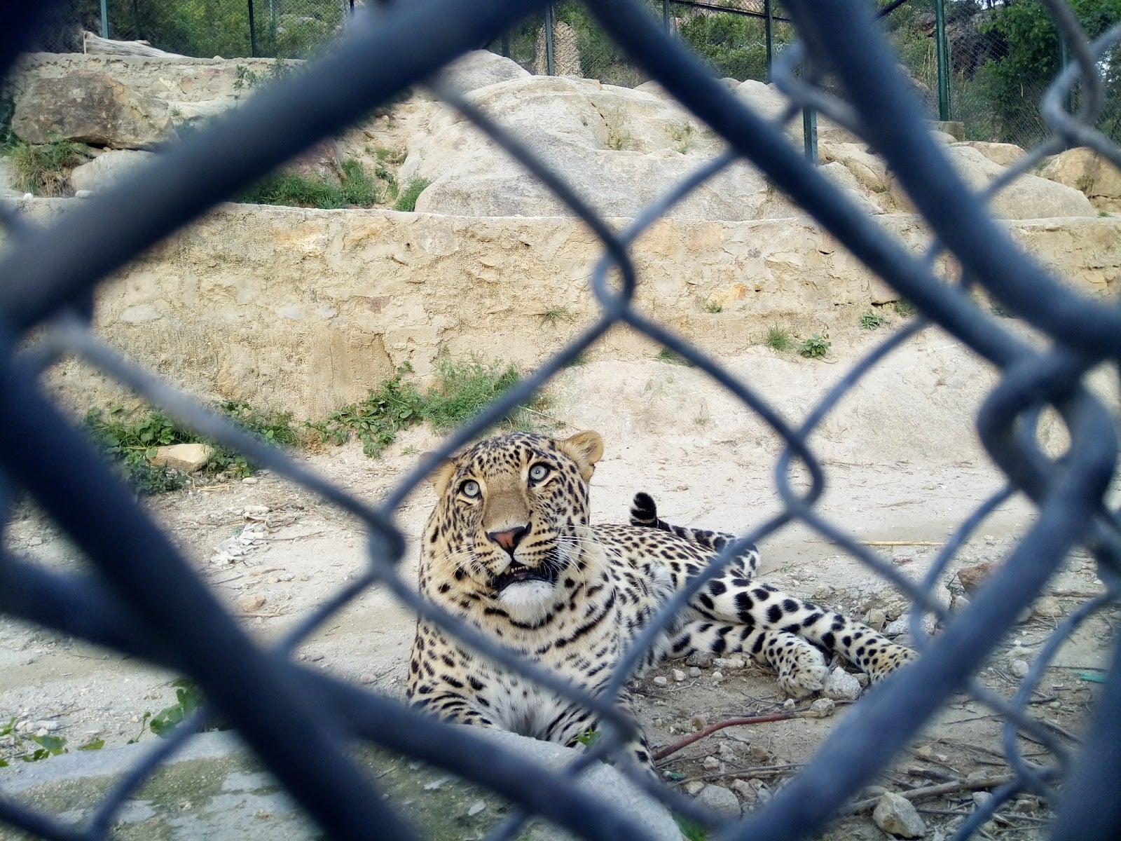 Wildlife Safari Park photo 5